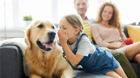 Algunos perros aprenden palabras escuchando conversaciones no dirigidas a ellos