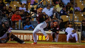 Toros dan paliza a las &Aacute;guilas Cibae&ntilde;as 