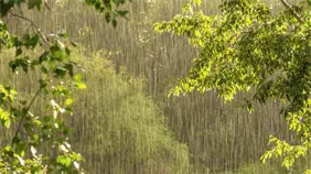 Vaguada provocar&aacute; lluvias en algunas provincias, dice Indomet