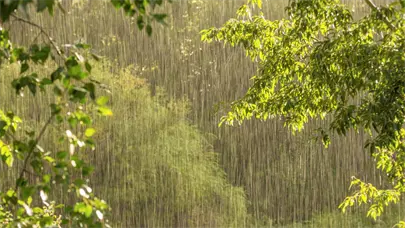 Vaguada provocar&aacute; lluvias en algunas provincias, dice Indomet