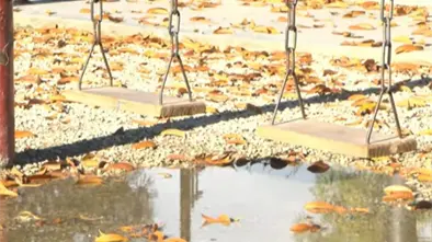 Letalidad por leptopirosis aument&oacute; en 2025