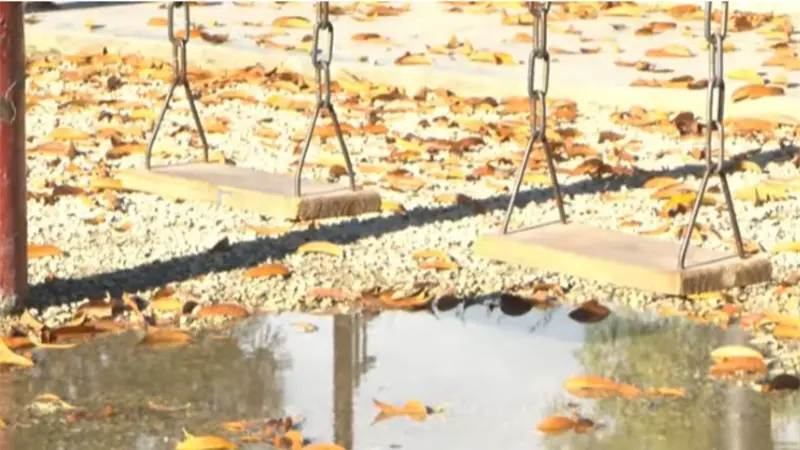 Letalidad por leptopirosis aument&oacute; en 2025