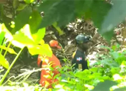 Contin&uacute;a b&uacute;squeda de Brianna Genao en Puerto Plata