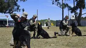 FBI imparte a fiscales y polic&iacute;as dominicanos un taller sobre el despliegue de unidades caninas en las investigaciones