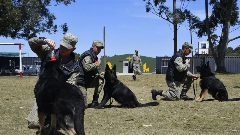 FBI imparte a fiscales y polic&iacute;as dominicanos un taller sobre el despliegue de unidades caninas en las investigaciones