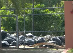 Vertederos en residenciales de Ciudad Juan Bosch, SDO