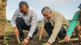 Intabaco y la Universidad ISA inician formaci&oacute;n en cultivo de tabaco