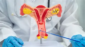 Papanicolaou: clave para la detecci&oacute;n temprana y cuidado de la salud femenina