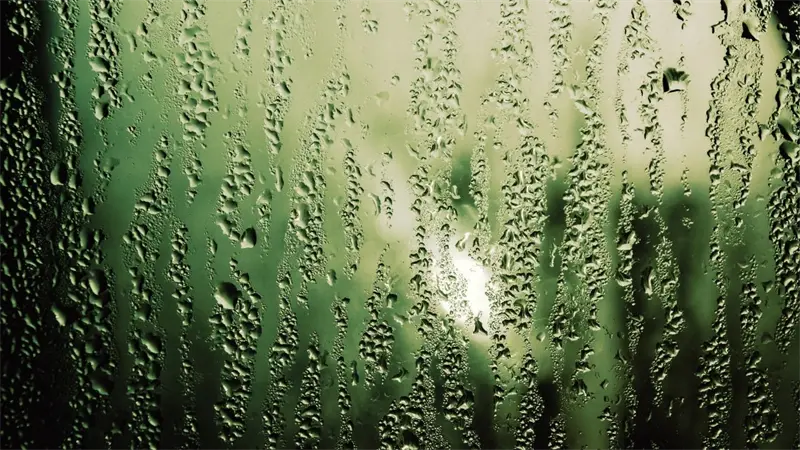 Indomet pronostica chubascos por d&eacute;bil vaguada asociada a un sistema frontal