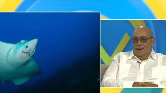 Exponen en Galer&iacute;a 360 fotograf&iacute;as submarinas de "Jardines de la Reina"