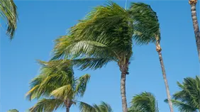 Lluvias d&eacute;biles y posibles r&aacute;fagas de viento marcar&aacute;n este domingo, seg&uacute;n Indomet