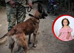 La b&uacute;squeda de Brianna no se detiene: perros entrenados y esperanza contra el tiempo