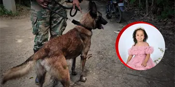 La búsqueda de Brianna no se detiene: perros entrenados y esperanza contra el tiempo