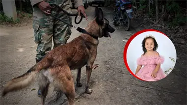 La b&uacute;squeda de Brianna no se detiene: perros entrenados y esperanza contra el tiempo