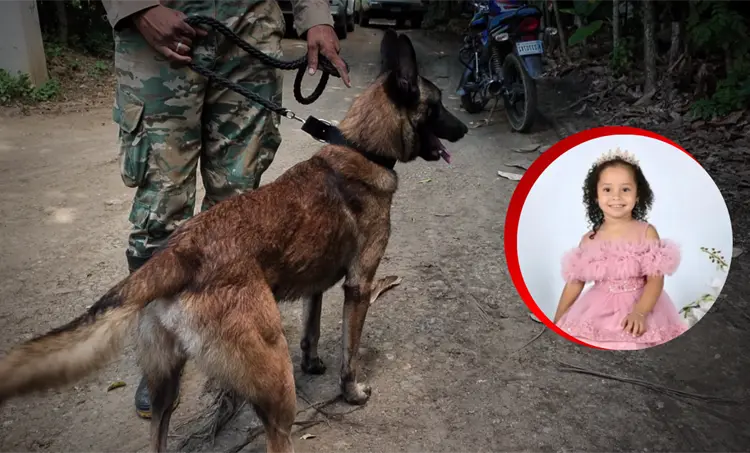 La b&uacute;squeda de Brianna no se detiene: perros entrenados y esperanza contra el tiempo