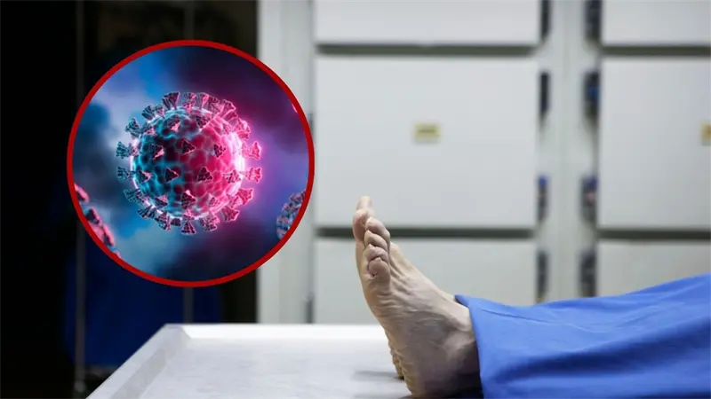 Argentina registra la primera muerte por la variante K de la influenza A H3N2