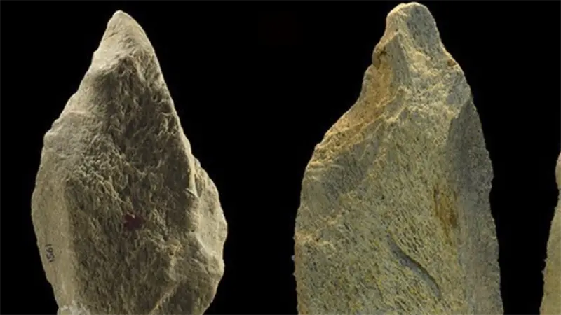 Hallan la herramienta de hueso de elefante m&aacute;s antigua de Europa, de hace 480.000 a&ntilde;os