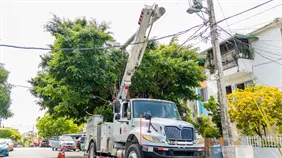 Edesur desarrollar&aacute; jornada de construcci&oacute;n de nuevas redes este viernes