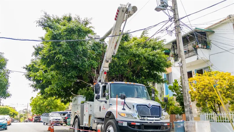 Edesur desarrollar&aacute; jornada de construcci&oacute;n de nuevas redes este viernes