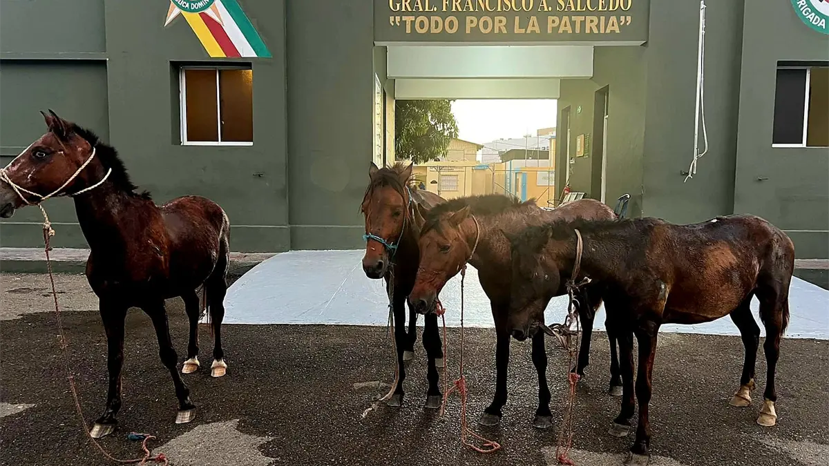 Según un comunicado de prensa, los soldados dieron seguimiento a los individuos que cometieron el hecho.