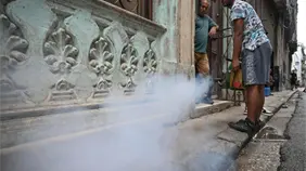 El Gobierno cubano anuncia diminuci&oacute;n de casos dengue y chikunguya