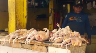 Gobierno toma medidas para frenar escasez y alza del pollo