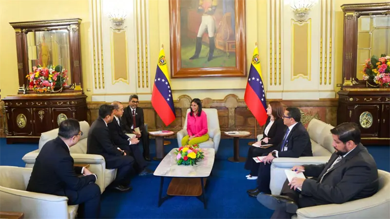 Delcy Rodr&iacute;guez recibe en Caracas a una delegaci&oacute;n de petrolera estatal de Indonesia