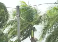 Cicl&oacute;n bomba en EE.UU. afectar&iacute;a directamente al pa&iacute;s