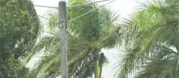 Cicl&oacute;n bomba en EE.UU. afectar&iacute;a directamente al pa&iacute;s