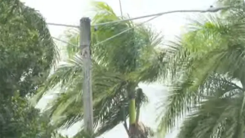 Cicl&oacute;n bomba en EE.UU. afectar&iacute;a directamente al pa&iacute;s