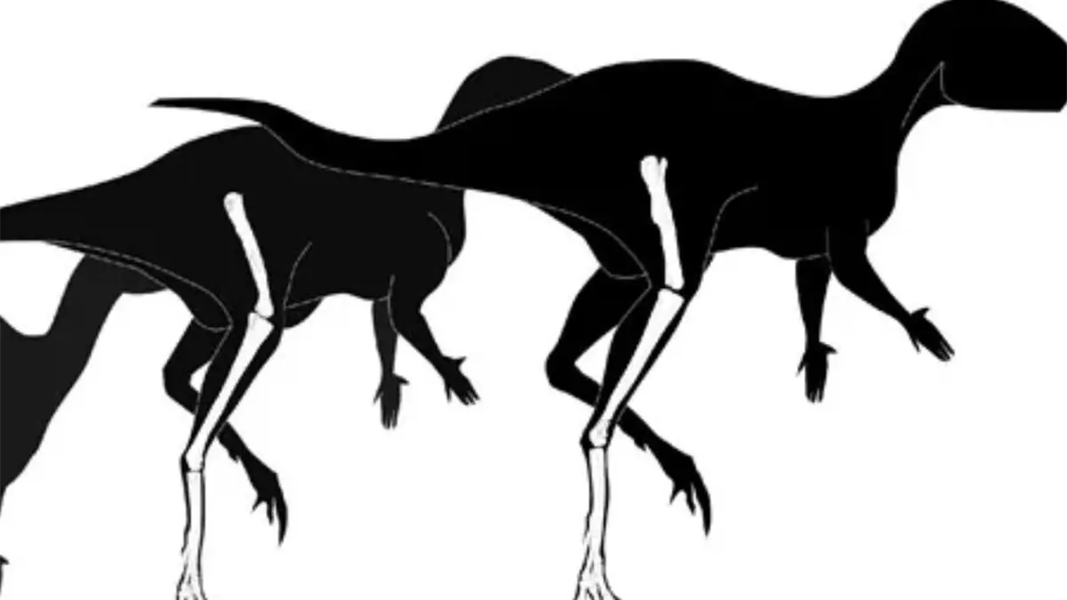 La nueva especie de dinosaurio descrita lleva por nombre Foskeia pelndonum, en homenaje a los Pelendones.