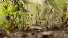 Los humedales, un patrimonio vivo que protege el agua y la cultura