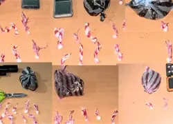 PN pone bajo arresto a seis personas y ocupa 243 gramos de sustancias controladas en Pedernales