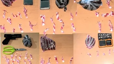 Polic&iacute;a arresta a seis personas y ocupa 243 gramos de sustancias en Pedernales