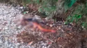 Residentes dicen estar atemorizados por muerte de mujeres