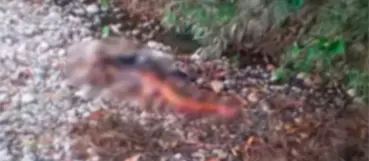 Residentes dicen estar atemorizados por muerte de mujeres