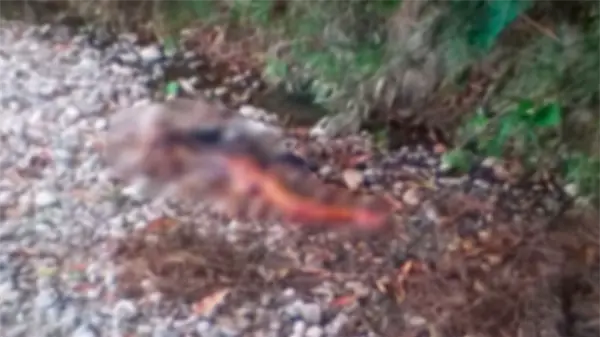 Residentes dicen estar atemorizados por muerte de mujeres