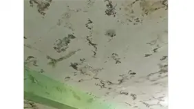 Techo de liceo genera preocupaci&oacute;n por filtraciones