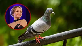 Instituto universitario dirigido por hija de Putin dise&ntilde;a palomas esp&iacute;a