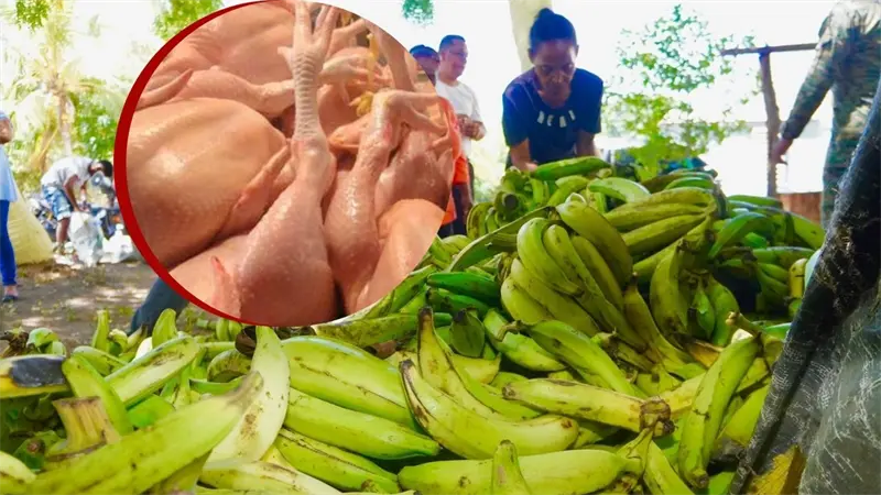 Gobierno prev&eacute; regulaci&oacute;n de precios del pollo y el pl&aacute;tano entre febrero y marzo