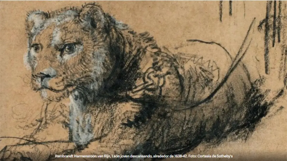 Un dibujo de un león hecho por Rembrandt recauda en subasta 17,8 millones en Nueva York