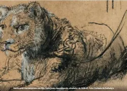 Un dibujo de un le&oacute;n hecho por Rembrandt recauda en subasta 17,8 millones en Nueva York