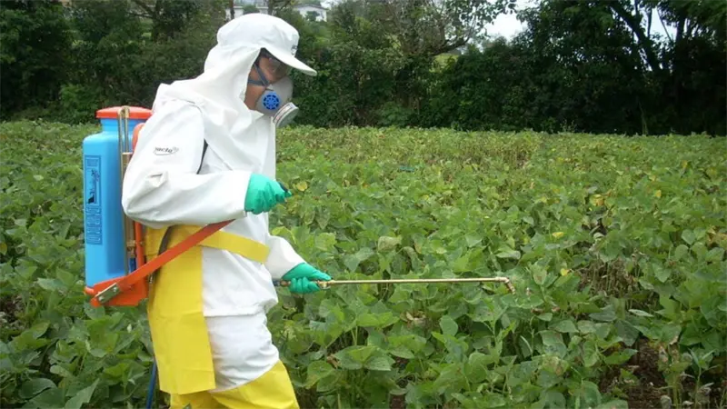 Toxicidad de los plaguicidas amenaza los objetivos de conservaci&oacute;n de la biodiversidad