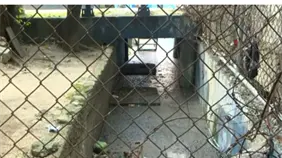 Denuncian contaminaci&oacute;n y riesgo sanitario por planta de tratamiento en Cristo Rey