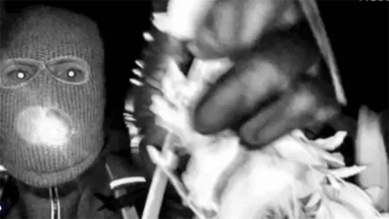 FBI investiga desaparici&oacute;n de Nancy Guthrie en Arizona tras hallazgos en su hogar