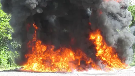 El Inacif incinera m&aacute;s de 470 kilogramos de distintas drogas ocupados en varias provincias