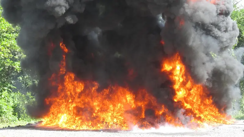 El Inacif incinera m&aacute;s de 470 kilogramos de distintas drogas ocupados en varias provincias