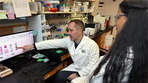 Un f&aacute;rmaco contra las convulsiones podr&iacute;a prevenir las placas del alzh&eacute;imer