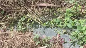 Malos olores afectan a estudiantes en escuela de Rancho Arriba