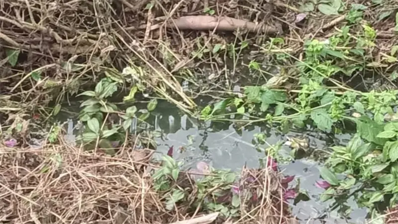 Malos olores afectan a estudiantes en escuela de Rancho Arriba